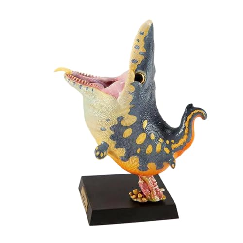 予約ショップ比較】 動物惑星＆ROUNDREX ANIMAL 5.0 プラコドゥス
